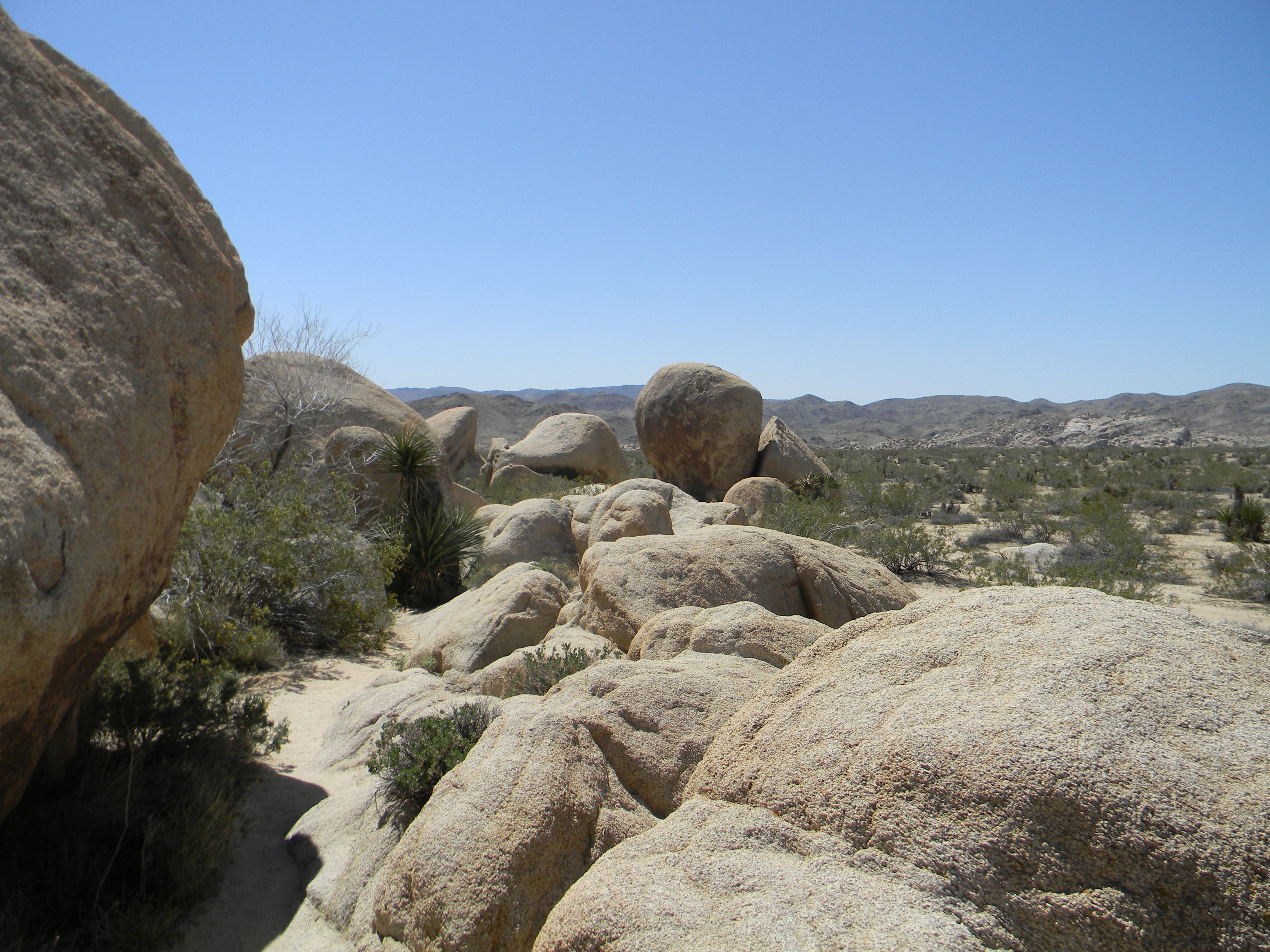 Steinformationen im Joshua Tree Nationalpark
