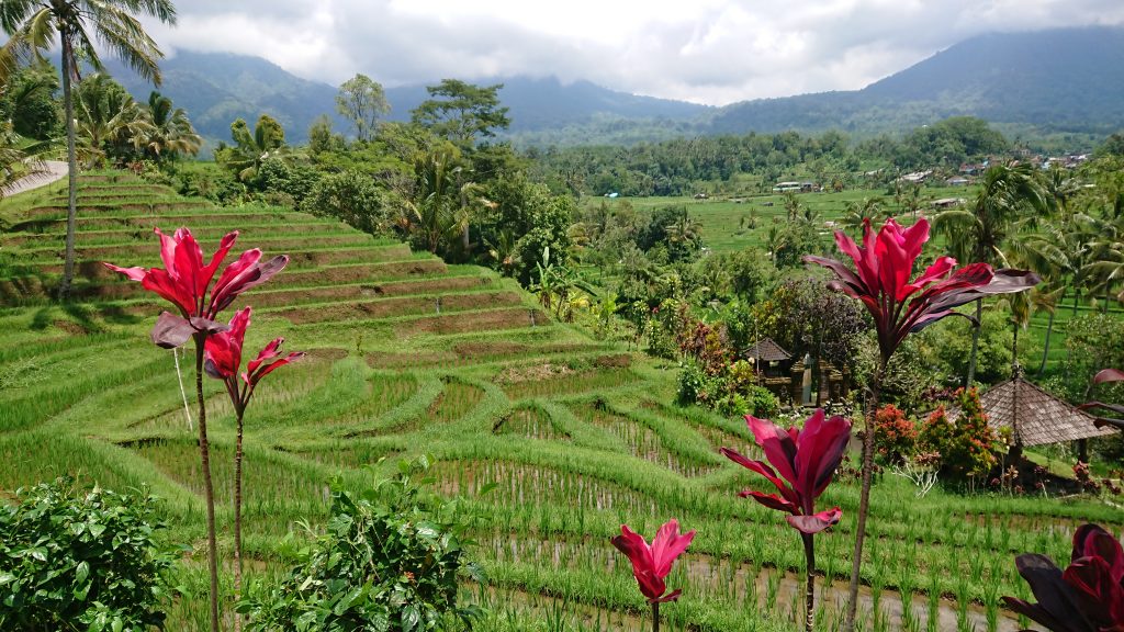 Wunderschöne Landschaft auf Bali