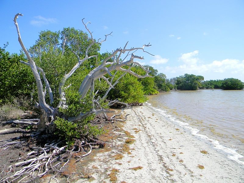 Long Keys State Park in Florida