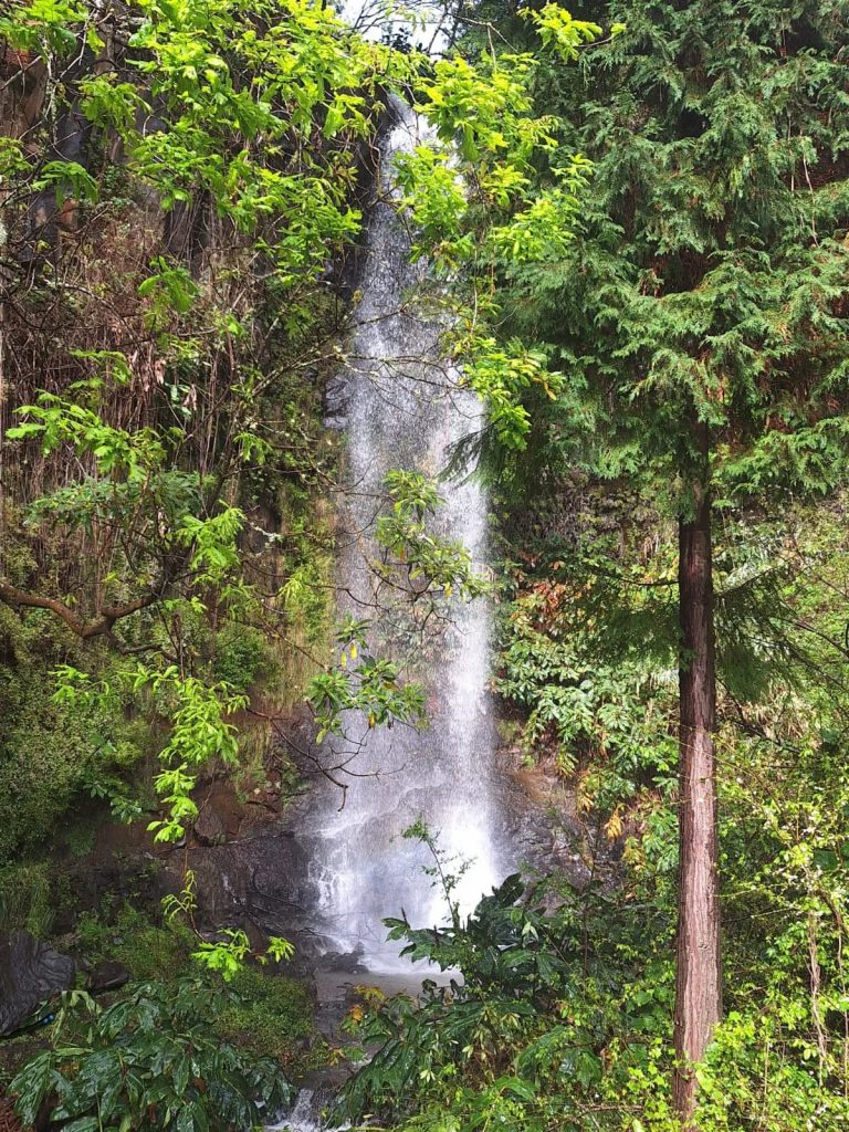 Wasserfall während einer Jeep-Tour auf der Blumeninsel Madeira