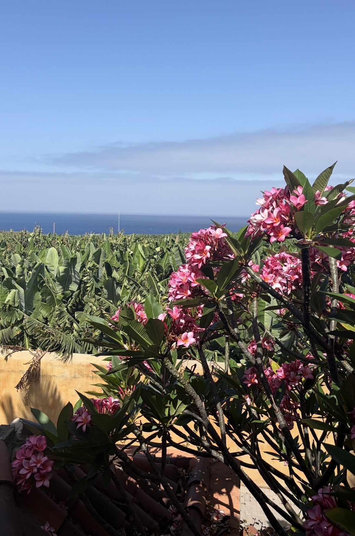 Ausblick auf La Palma auf das Meer